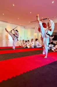 tang soo do 1 (3)