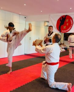 tang soo do 1 (4)